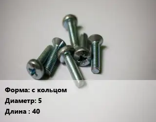 Винт с кольцом 5х40